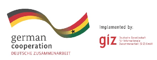 GIZ logo